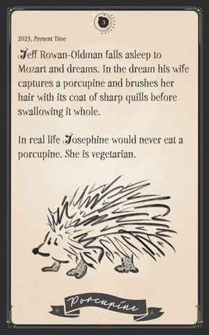 3.Porcupine